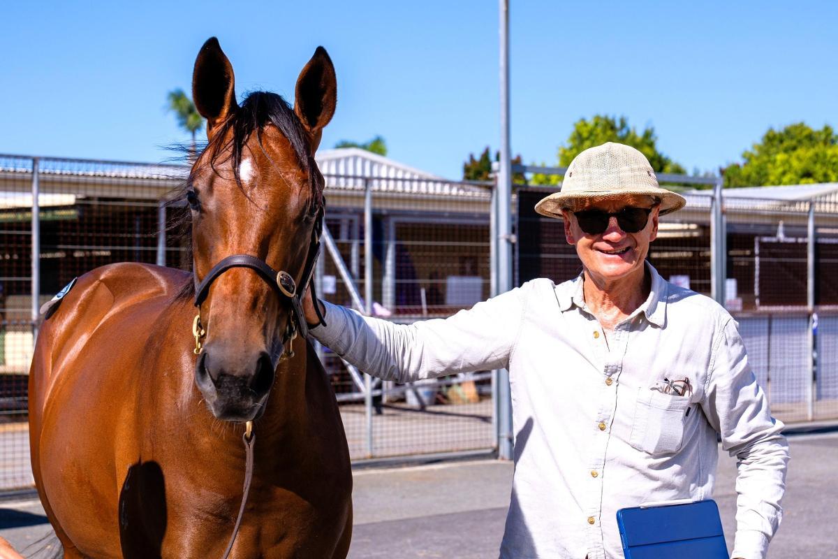 In The Congo X She's Bobby's Girl