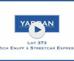 Rich Enuff x Streetcar Express Colt '24