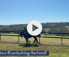 Maurice/ Kardashing