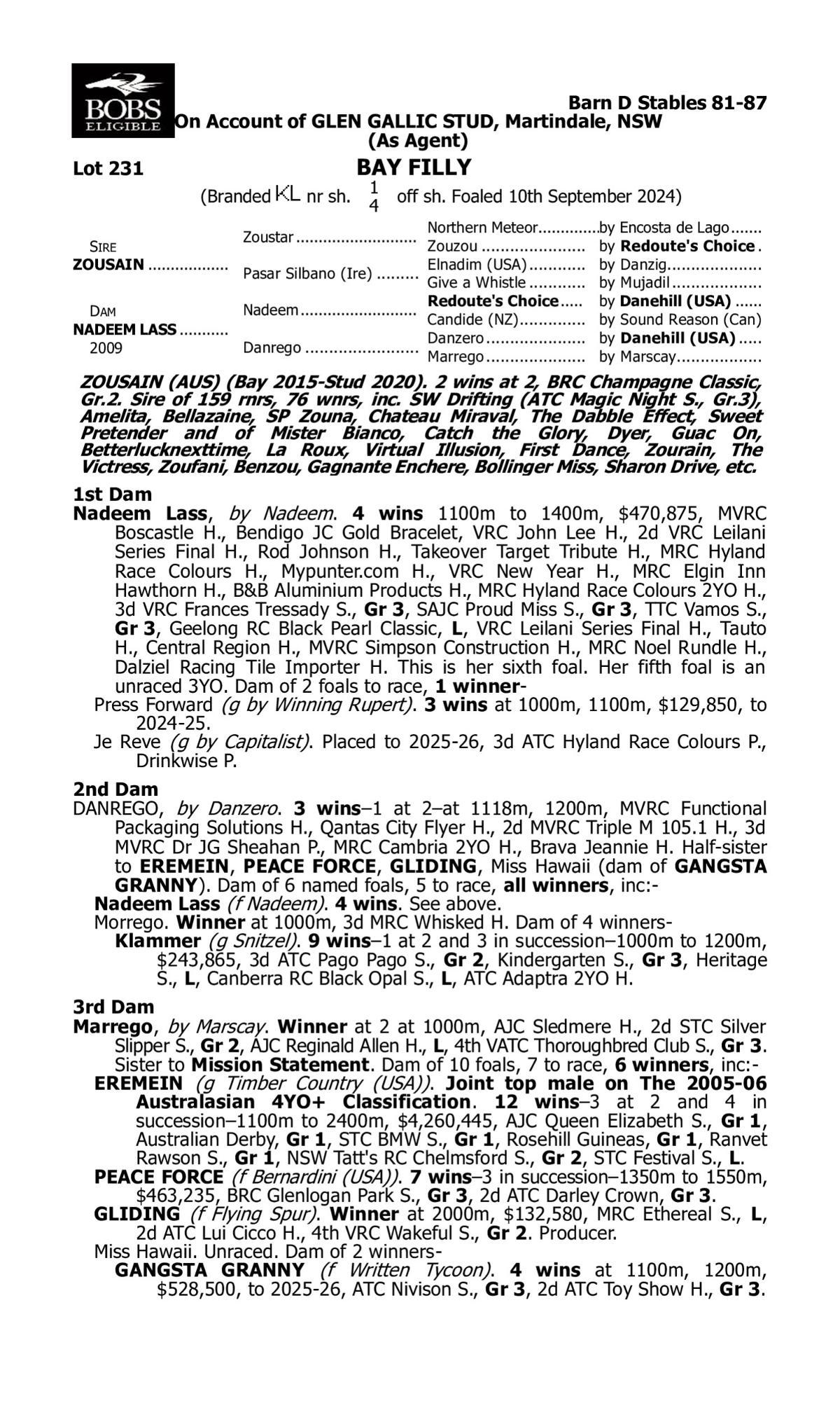 Zousain x Nadeem Lass - 50% remaining