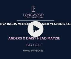 Anders x Daisy Head Mayzie