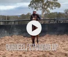 Dundeel / Standing Up