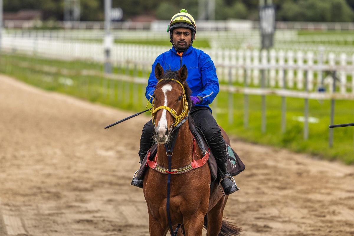 Snitzel/Debonnaire '23