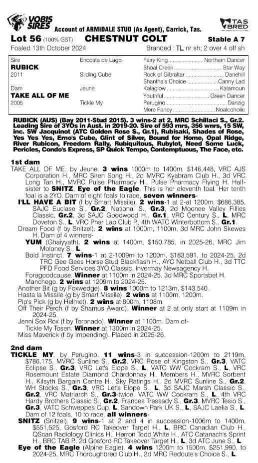 Rubick x Take All Of Me Colt
