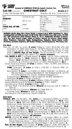 Rubick x Take All Of Me Colt