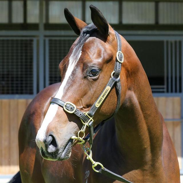 Bluepoint x Viviette 24