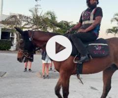 Sword Of State x Valzacella