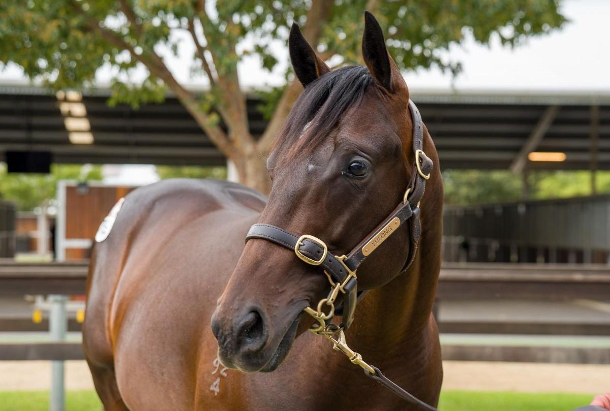 Diatonic x Diamond Delight