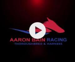 Zousain x Love Lucille '23 Filly(Thoroughbred)