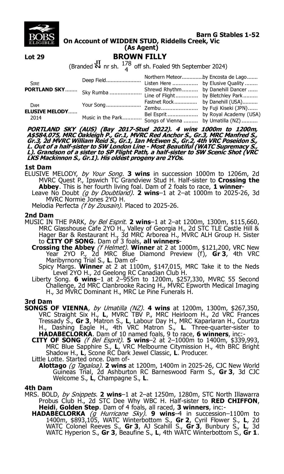 Portland Sky x Elusive Melody