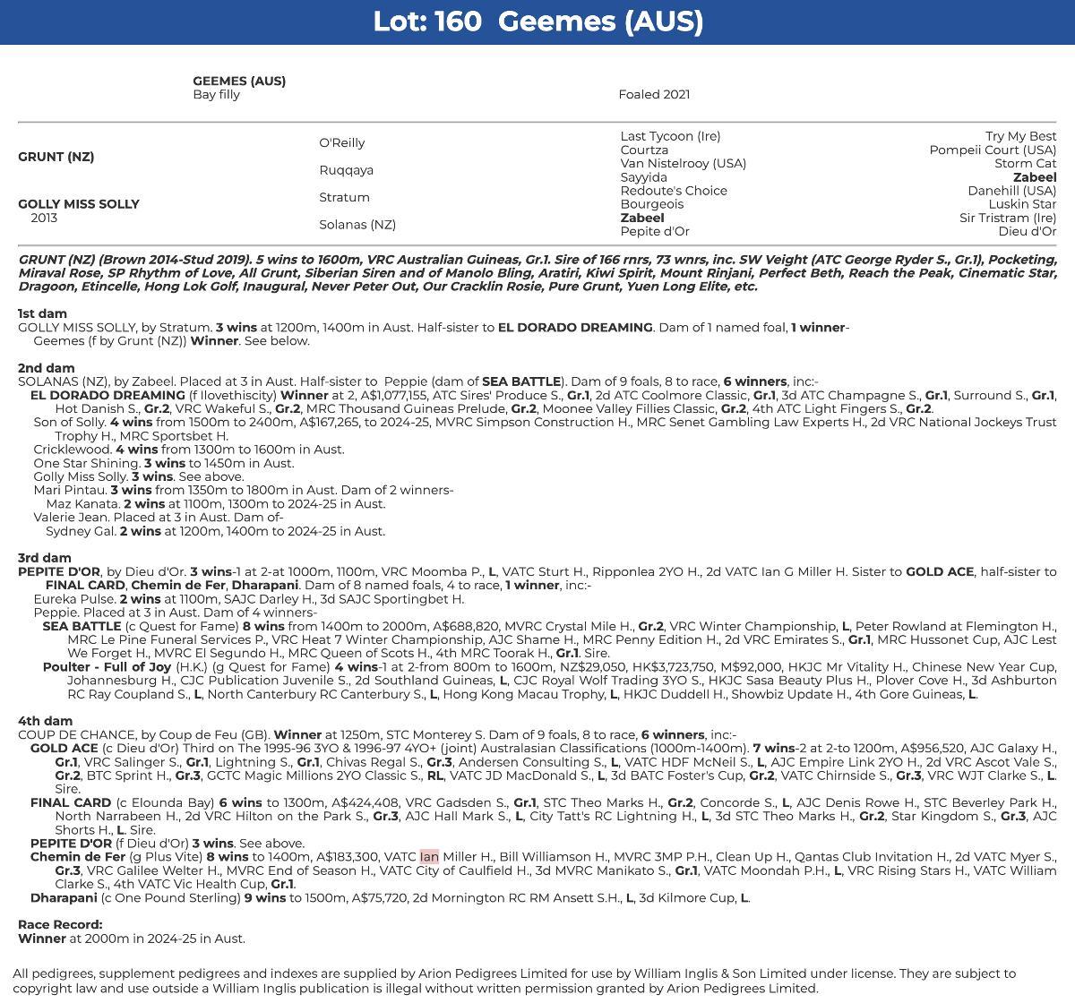 GEEMES - Tried Horse (75% sold)