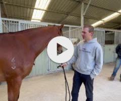 Trapeze Artist x Decoco