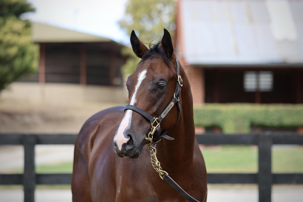 Bivouac x Le Societe