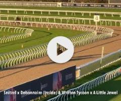 Snitzel/Debonnaire '23