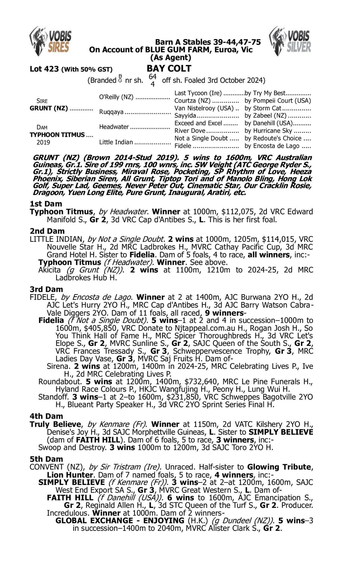 Grunt x Typhoon Titmus Colt