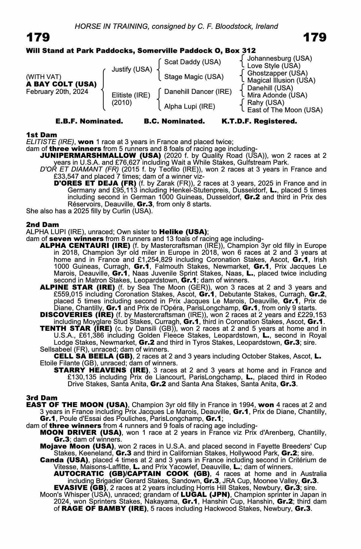 Justify x Elitiste colt