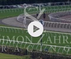 Pierro x Letsdothis Filly