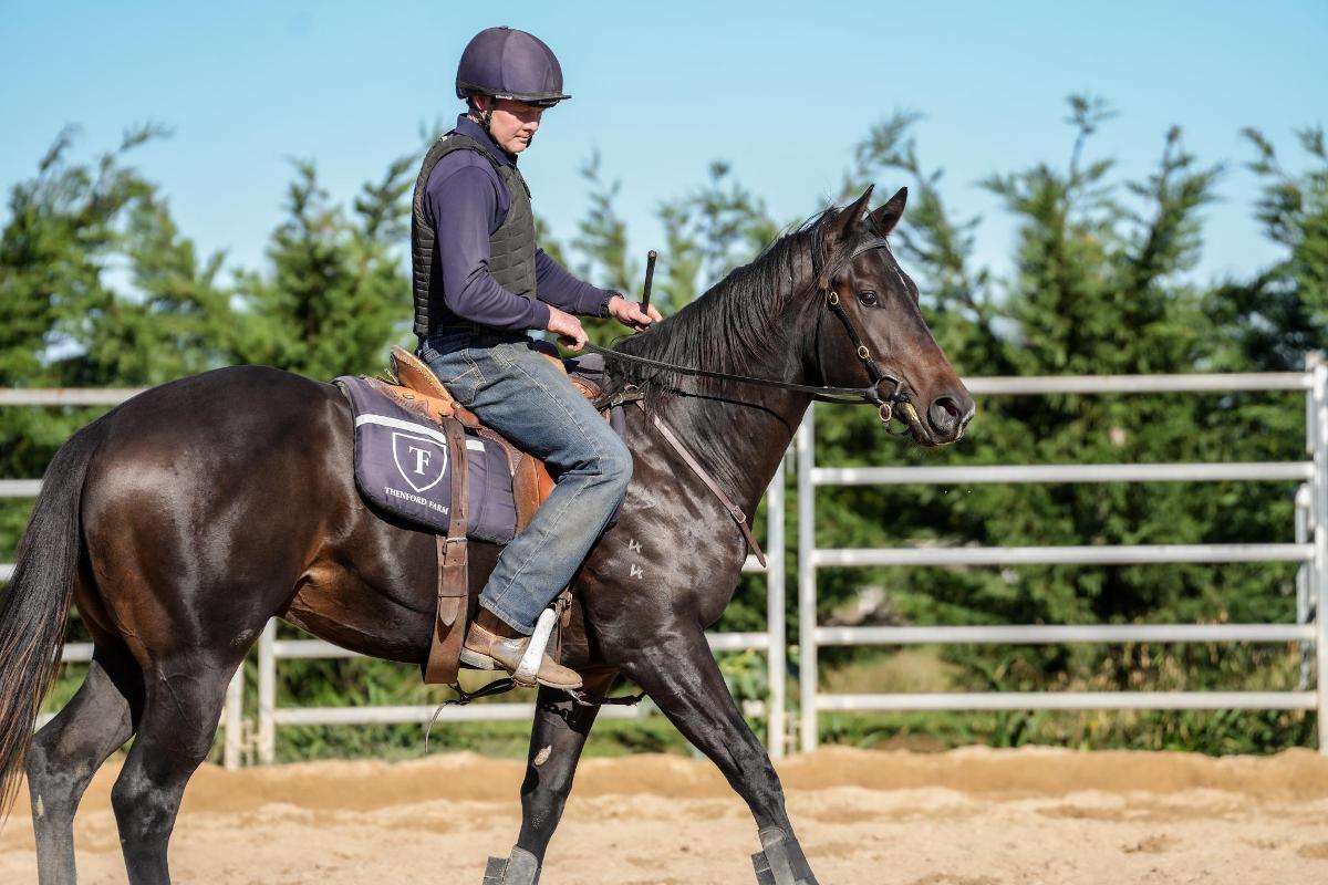 Satono Aladdin x Luce Del Sole