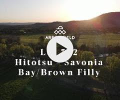 Hitotsu x Savonia 24F