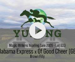Alabama Express x Of Good Cheer