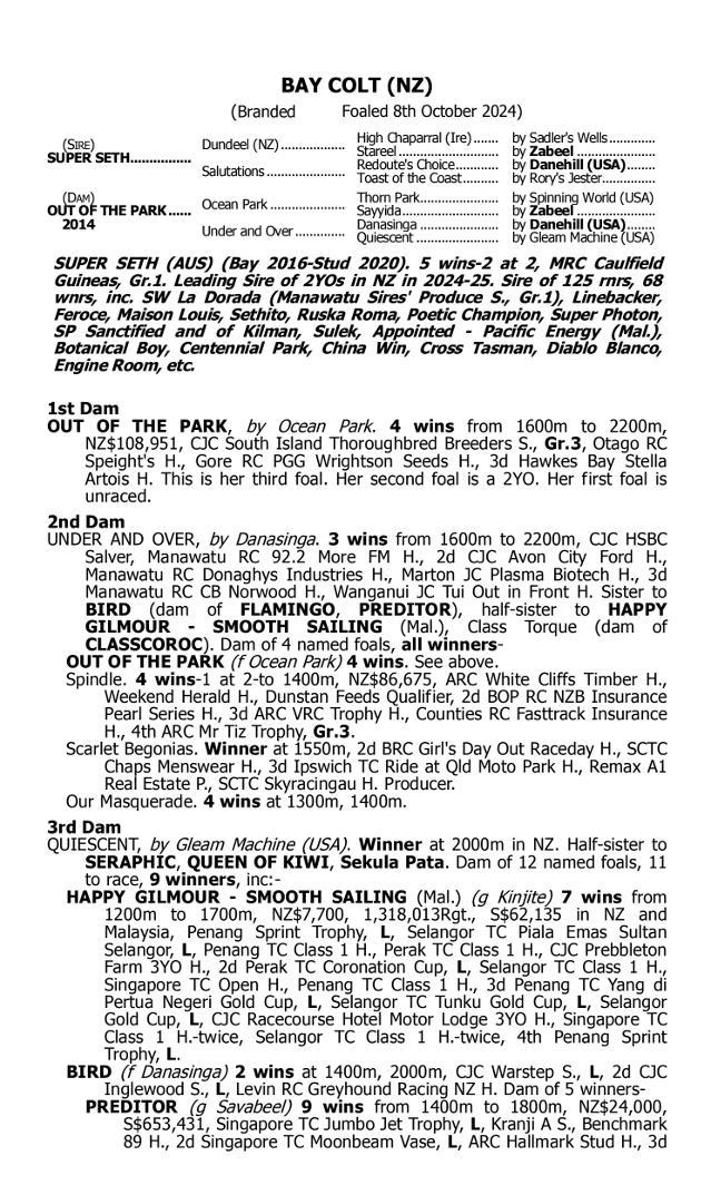 Super Seth/Out Of The Park '24