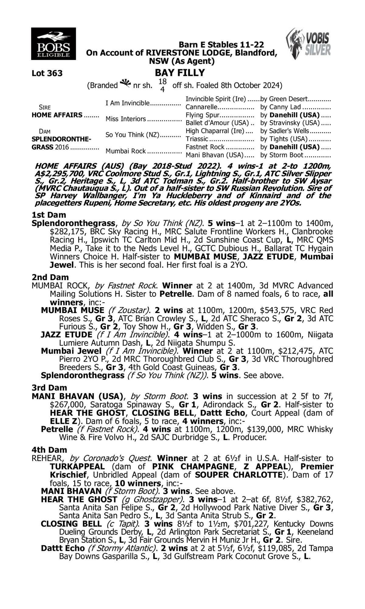 Home Affairs x Splendoronthegrass'24 Filly