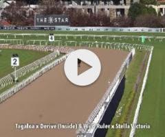 Tagaloa/Derive '23