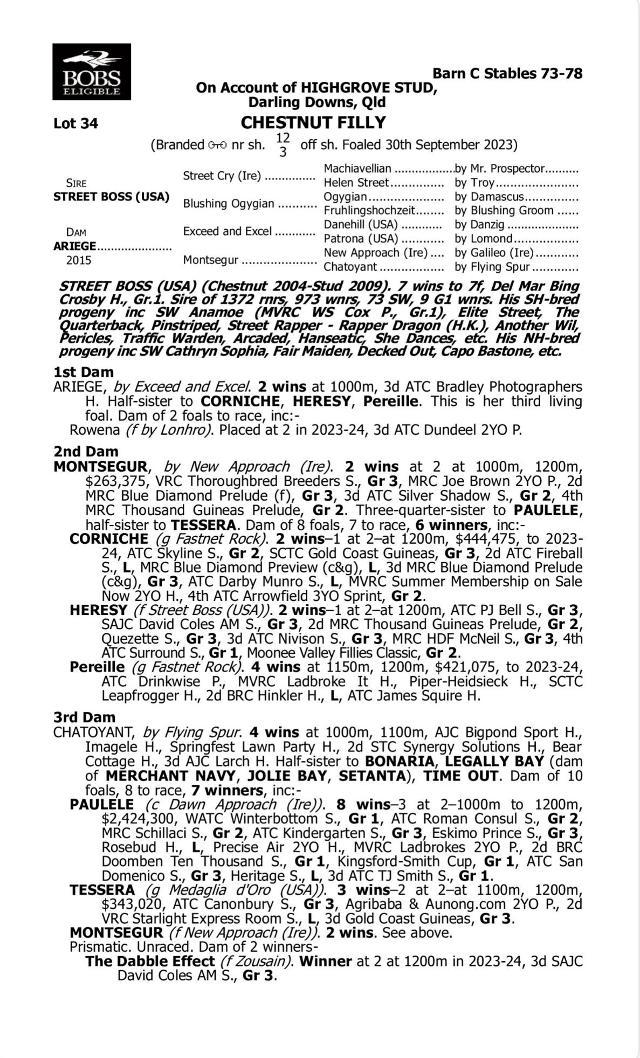 Street Boss x Ariege ‘23 Filly