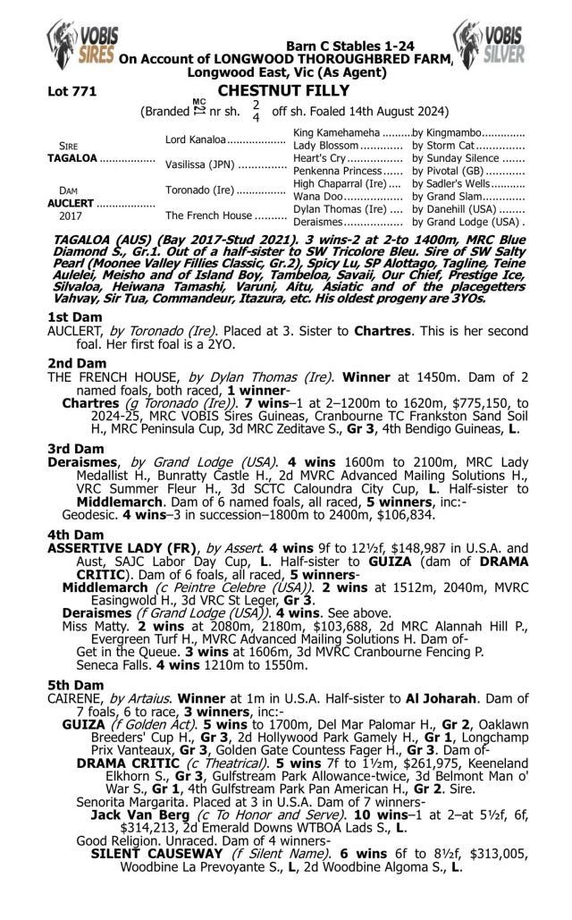 Tagaloa x Auclert '24 Filly