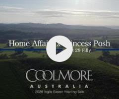 Home Affairs x Princess Posh