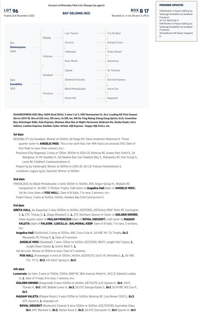 Shamexpress x Sensibility NZB READY TO RUN!