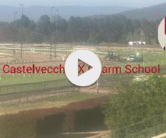 Castelvecchio filly X Charm School