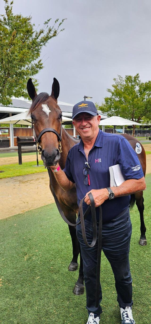 Cosmic Force Yearling filly 24