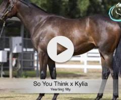 So You Think x Kylia