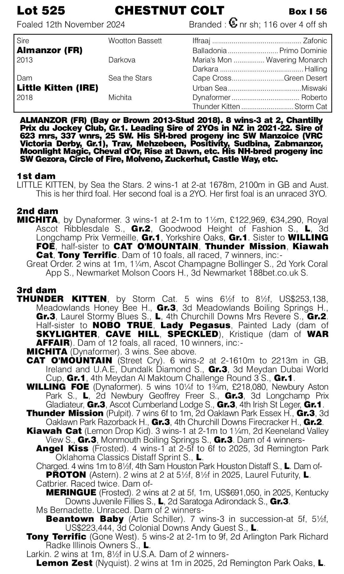 xLittle Kitten (Almanzor)