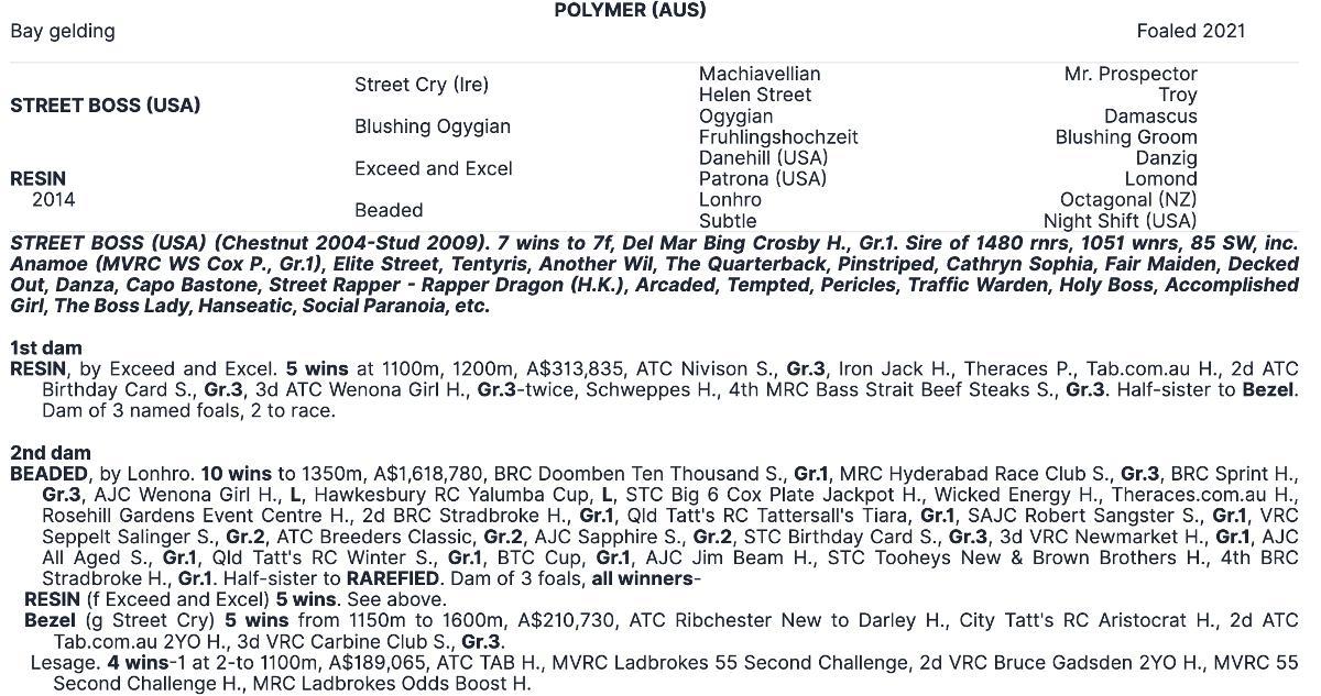 ex Godolphin 4yo Polymer