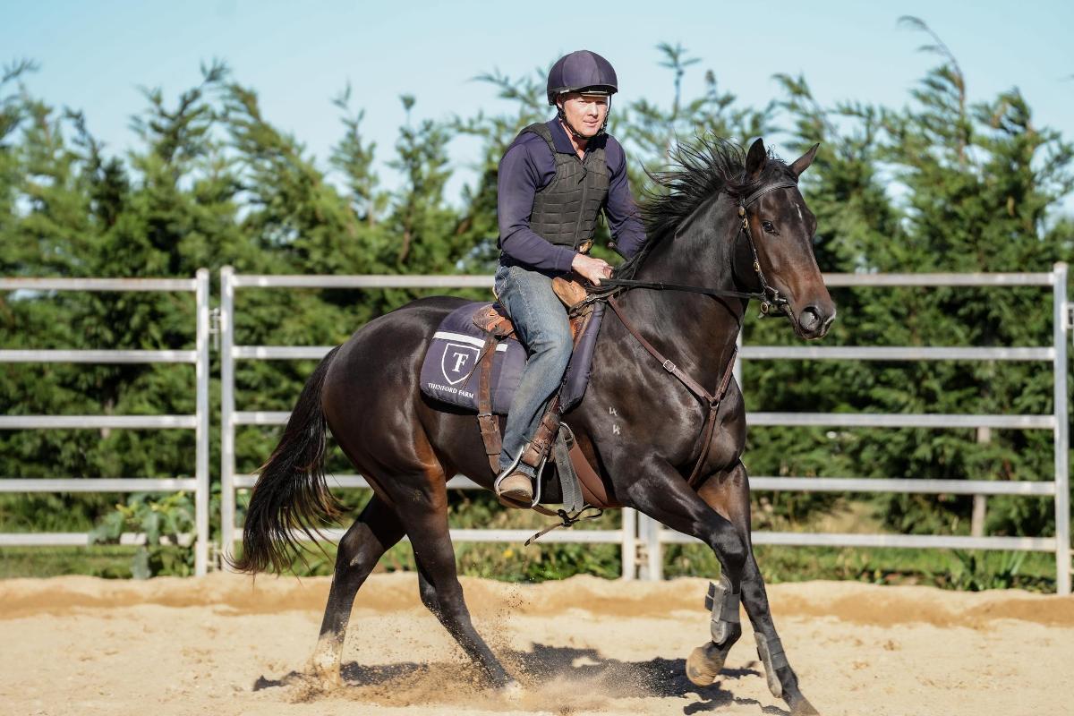 Satono Aladdin x Luce Del Sole