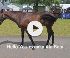 Hello Youmzain x Ala Rasi