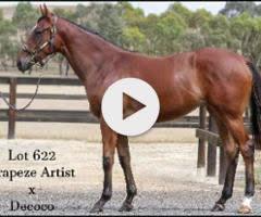 Trapeze Artist x Decoco