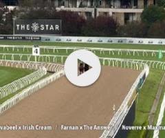 Savabeel/Irish Cream '23