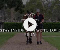 Stay Inside/Game To Love