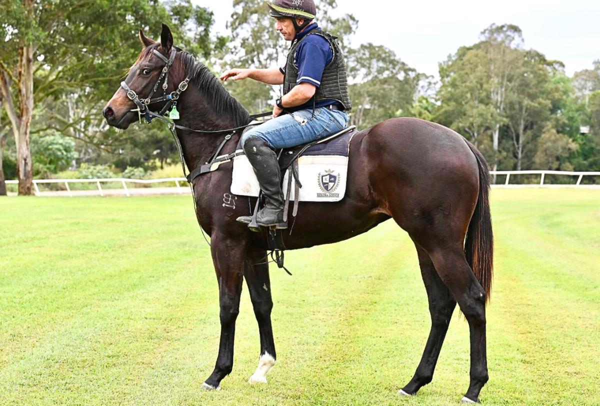 horse-image