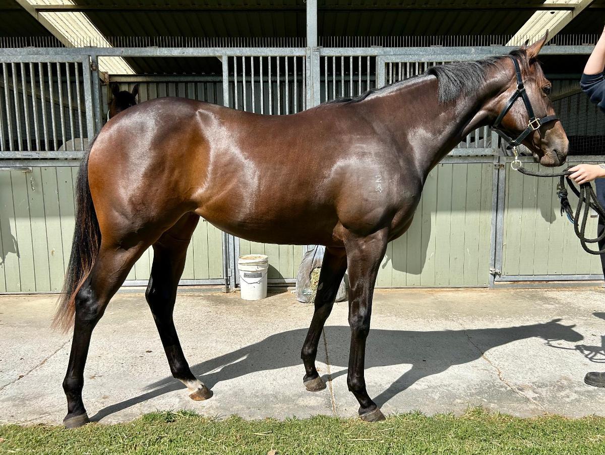 State Of Rest x High Hostess