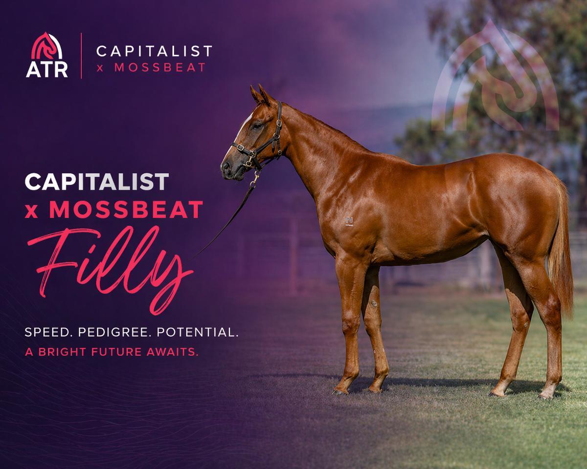 Capitalist x Mossbeat