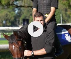 Ardrossan x Madam Charm Filly