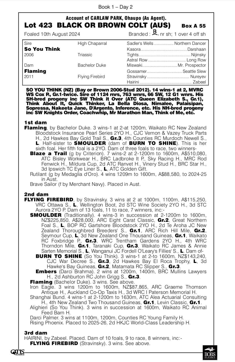 So You Think x Flaming colt