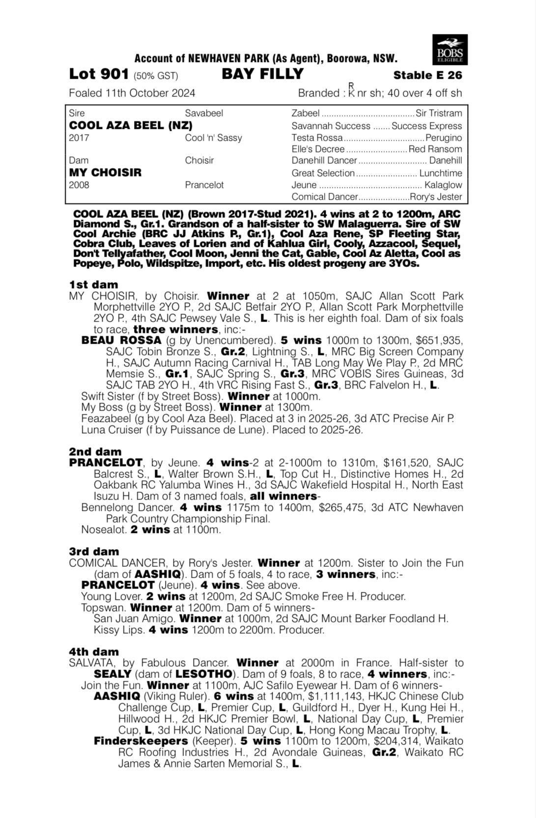 Cool Aza Beel x My Choisir '24 Filly