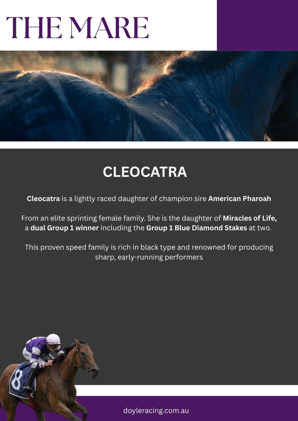 Wild Ruler x Cleocatra