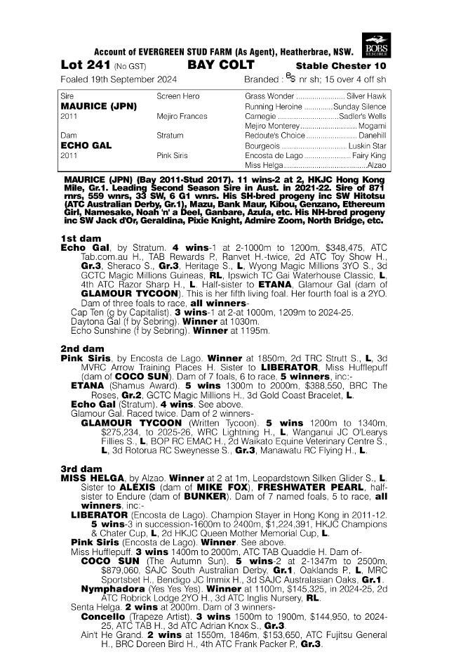 Echo Gal X Maurice '24 Colt