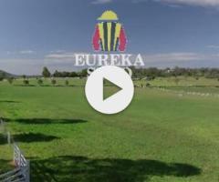 Home Affairs x Unassailed Filly